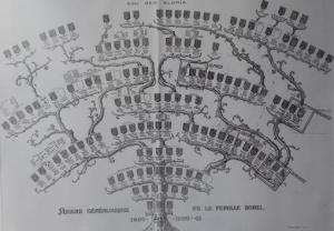 arbre généalogique des Borel